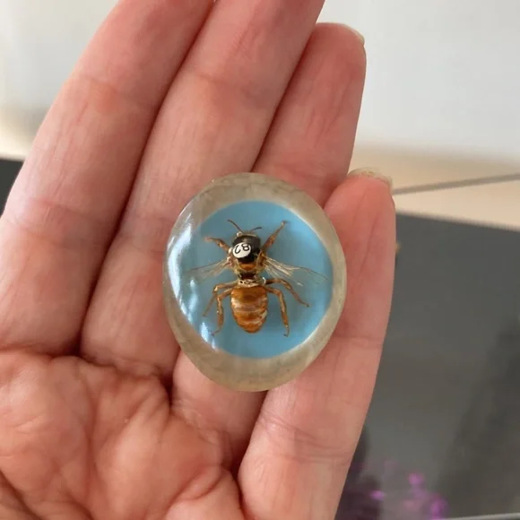 Lucite Insect Adjustable Ring - Picture 6 of 6